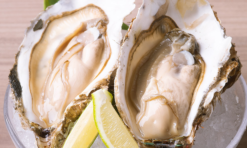 OYSTERS