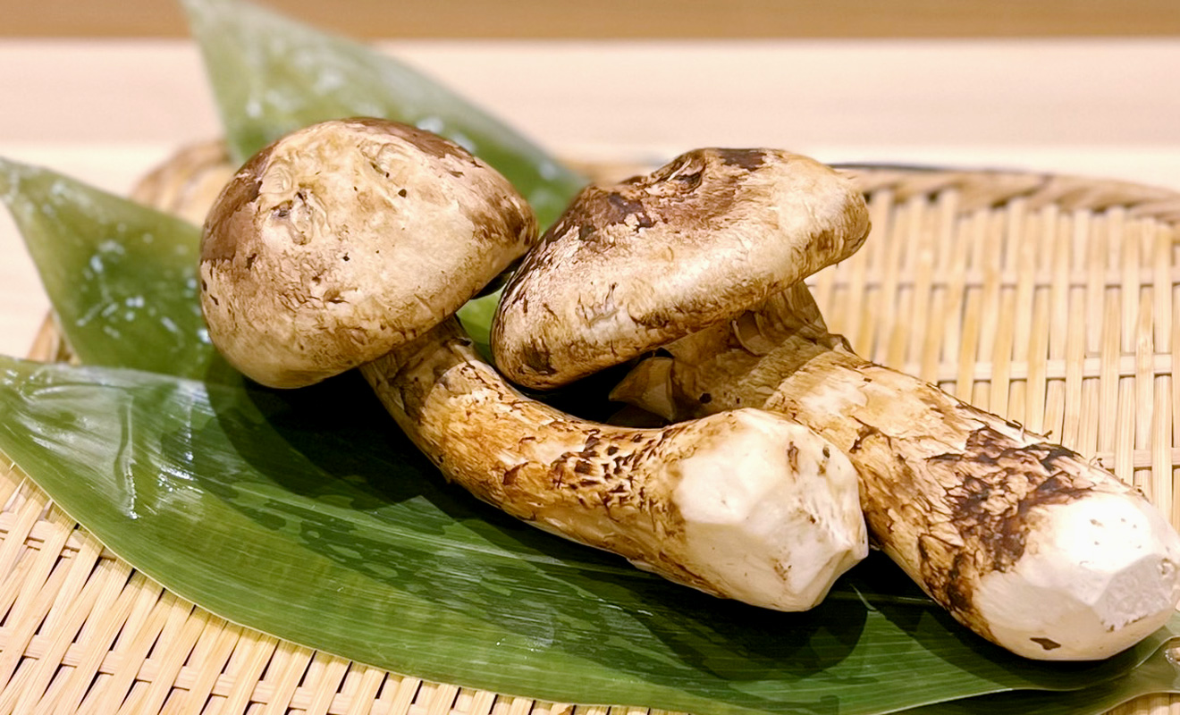 黒アワビのやわらか煮や炭火で炙った風味の良い松茸を、使って仕上げた季節限定コース